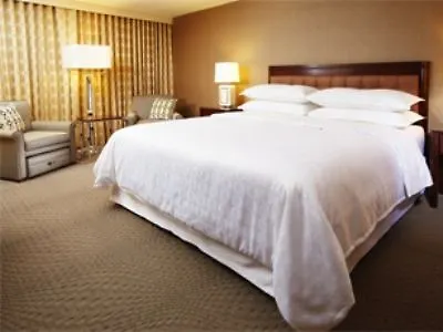 Sheraton Tampa Brandon Hotel Mango