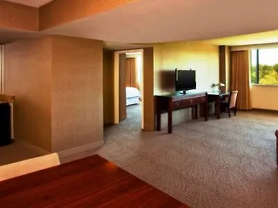 Sheraton Tampa Brandon Hotel Mango