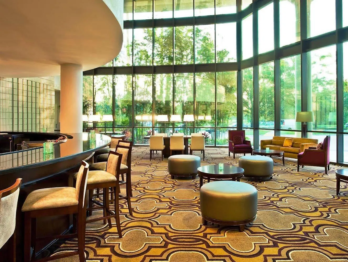 Sheraton Tampa Brandon Hotel Mango Estados Unidos