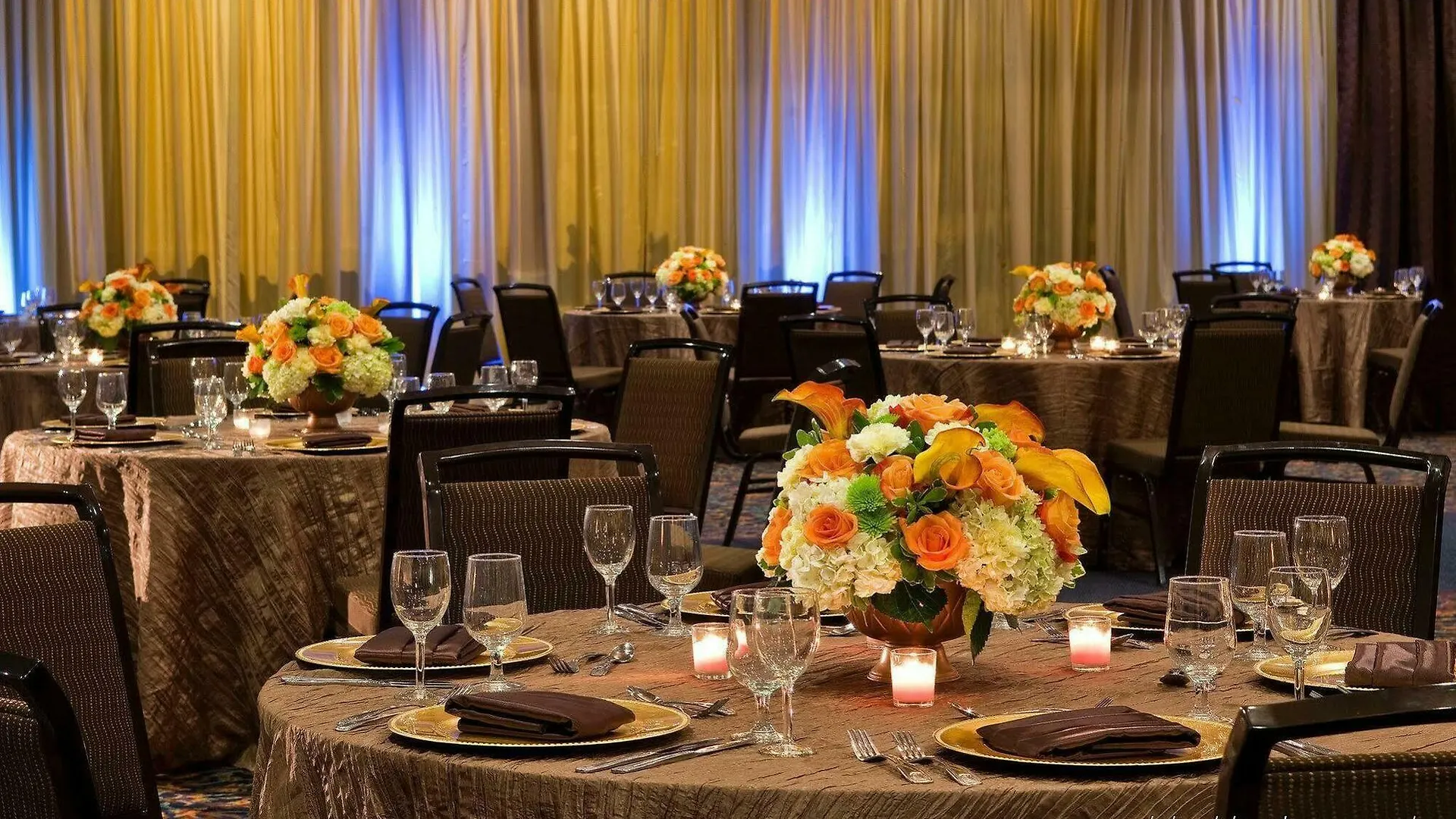 Sheraton Tampa Brandon Hotel Mango 3*,