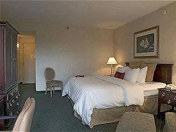 ***  Sheraton Tampa Brandon Hotel Mango Estados Unidos