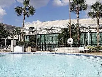 Sheraton Tampa Brandon Hotel Mango