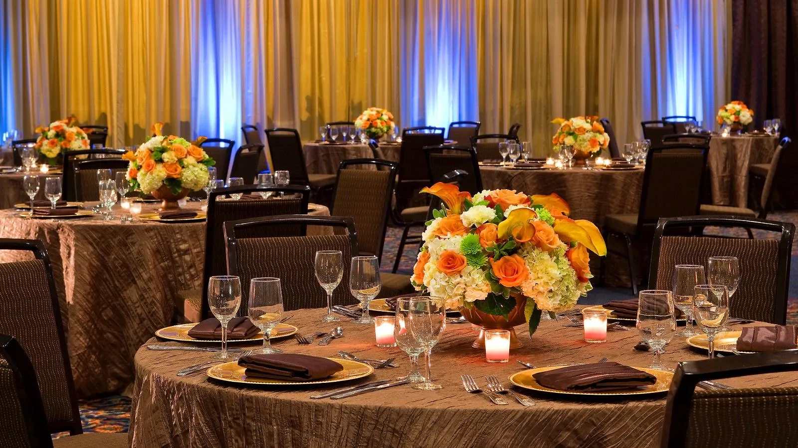 Sheraton Tampa Brandon Hotel Mango