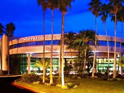 Sheraton Tampa Brandon Hotel Mango