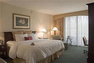 Sheraton Tampa Brandon Hotel Mango